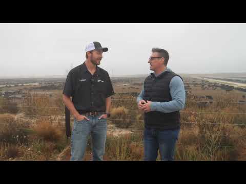 It's America's largest cattle feedlot — see it from the air!