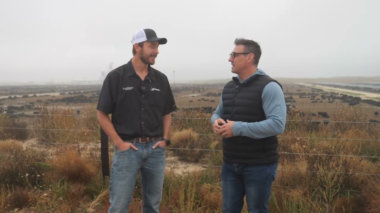 Это крупнейшая в Америке откормочная площадка для крупного рогатого скота — посмотрите на нее с в...