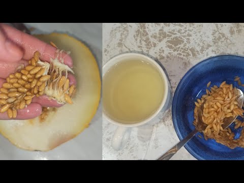 Video: Ali morate pred sajenjem namočiti semena dinje?