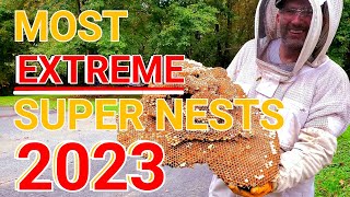 Most EXTREME Yellow Jacket SUPERNESTS! by Hornet King 418,994 views 1 year ago 11 minutes, 52 seconds