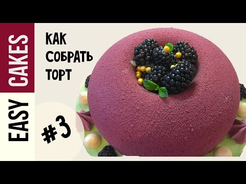 КАК СОБРАТЬ МУССОВЫЙ ТОРТ МК  рекомендации 3 по сборке торта от Easy Cake