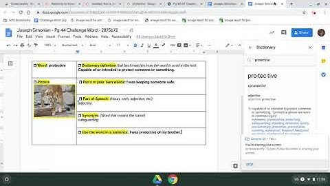 Using the dictionary in google docs