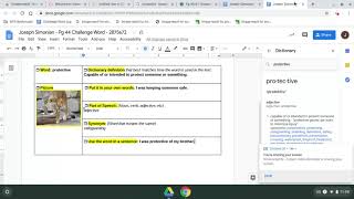 Using the dictionary in google docs