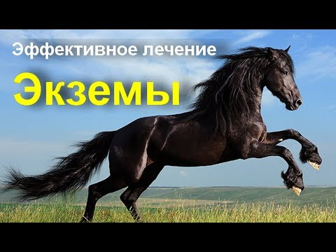 Лечение экземы на руках и ногах. Как вылечить экзему народными средствами № 3 Все ищут этот рецепт?