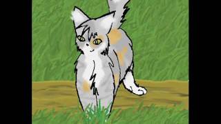 Rainfeather Pic