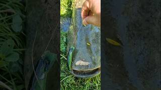 Come costruire un Crank Bait minnow / Stampa 3D /  Crank Bait minnow 90 mm