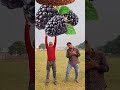 VFX VFX viral funny VFX shorts #vfx #vfxindia #vfxhd... #Shorts #bebuvfx