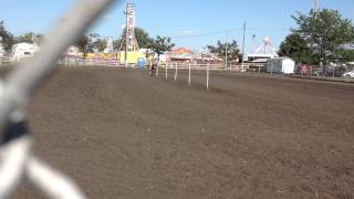 Poles kankakee Fair 2015
