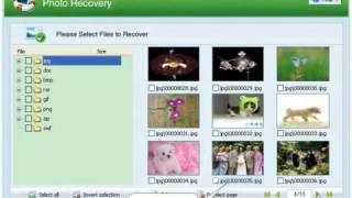 Easy Photo Recovery 2 5