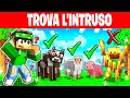 TROVA L'INTRUSO su MINECRAFT!