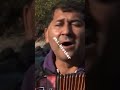 Darling Trili Frili Long Song