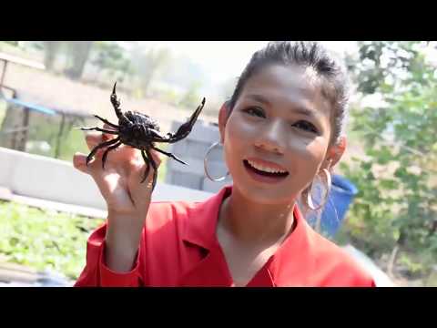 เที่ยวยังสระแก้ว - พาไปชม กลุ่มแปลรูปไหมอีรี่