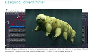 How to design Forward and Reverse Primers by Nikolay's Genetics Lessons 374 views 2 months ago 12 minutes, 39 seconds