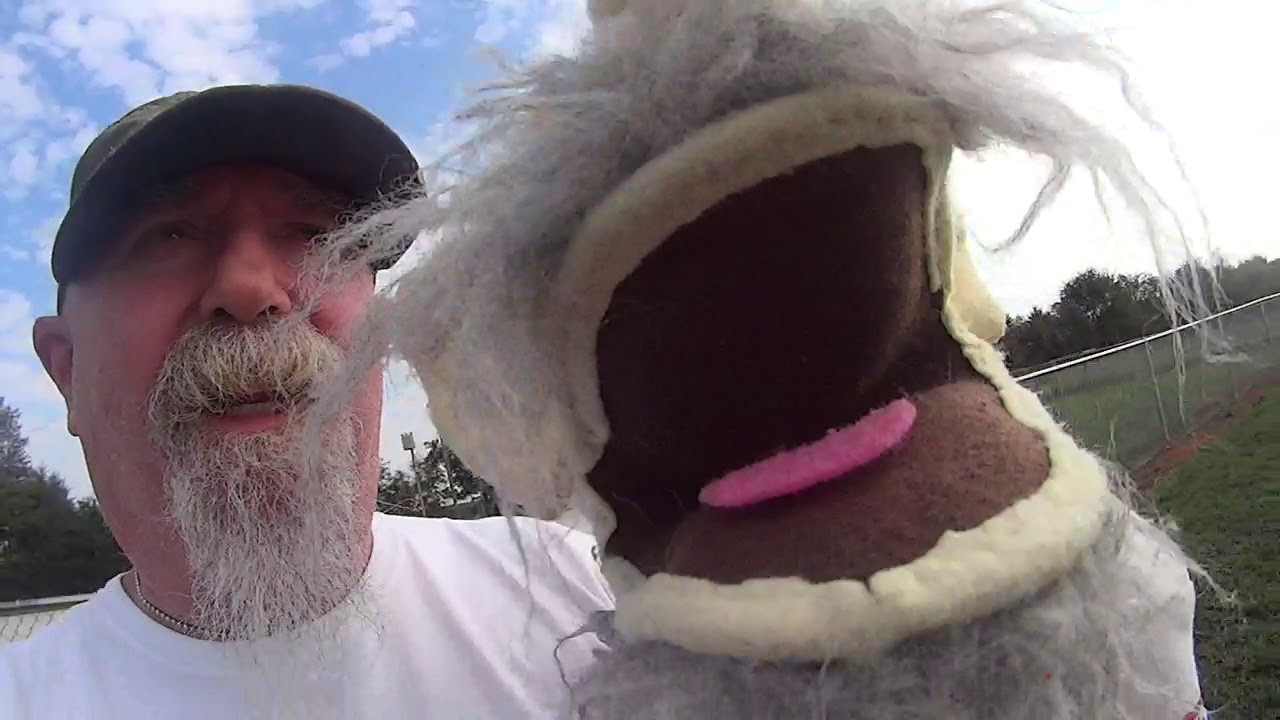 Camo Dave On The Road