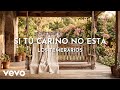 Los Temerarios - Si Tu Cariño No Está (Visualizer)