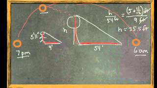tree-shadow-ratio-homework