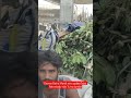 Deonar Bakra Mandi new update Sojat Bakra baby kids Turky dumba#viral #mumbai #govandi