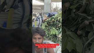 Deonar Bakra Mandi new update Sojat Bakra baby kids Turky dumba#viral #mumbai #govandi