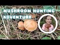 Mushroom hunting adventure