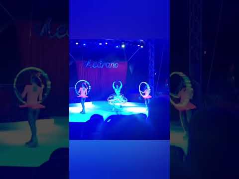 cirque medrano sur glace a rouen 2025