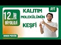 Kalıtım Molekülünün Keşfi | Genden Proteine | AYT 2026 - 2027