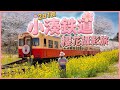 千葉絕景鐵道旅 小湊鐵道 櫻花x復古列車 入住可愛圓頂民宿玩2日1夜 交通方法 高瀧站 里見站 飯給站 月崎站 千葉 日本 東京 千葉絕景鐵道旅 小湊鐵道 櫻花x復古列車 入住可愛圓頂民宿玩2日1夜 交通方法 高瀧站 里見站 飯給站 月崎站 千葉 日本 東京