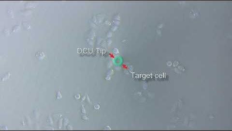 Collecting and Dispensing Individual CHO Cells Using UnipicK+