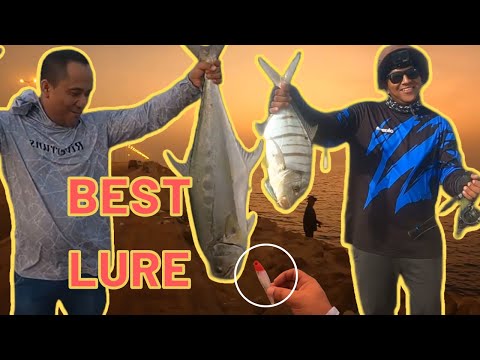 6.1kg Queen Fish Got Caught using Redhead Lure I Mina Port Saudi Arabia I Collab with yando mofis