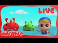 Morphle LIVE 🔴 Animal Fun Marathon 🦁🐘🐒 – 24/7 Kids Cartoons