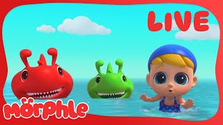 Morphle LIVE 🔴 Animal Fun Marathon 🦁🐘🐒 – 24/7 Kids Cartoons