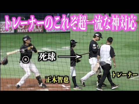 これぞ超一流！正木智也の死球で一目散に駆け寄るトレーナーが神過ぎる【福岡ソフトバンクホークス】