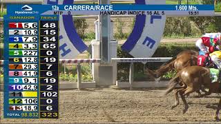 Vidéo de la course PMU PREMIO QUISCO