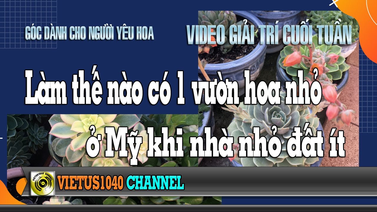 Làm thế nào có 1 vườn hoa nhỏ ở Mỹ khi nhà nhỏ đất ít - Cuộc sống Mỹ - VIETUS1040