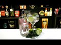 El Gin Tonic Mojito 🌿 Una fusión de sabores únicos