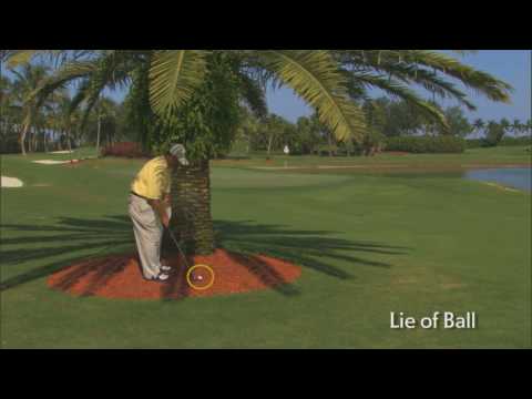 Rules of Golf Explained: Play the Course as You Find it Part 2 - Rules of Golf Explained: Play the Course as You Find it Part 2