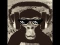 Monkey needs to swing gorilla tag ost (with lyrics)