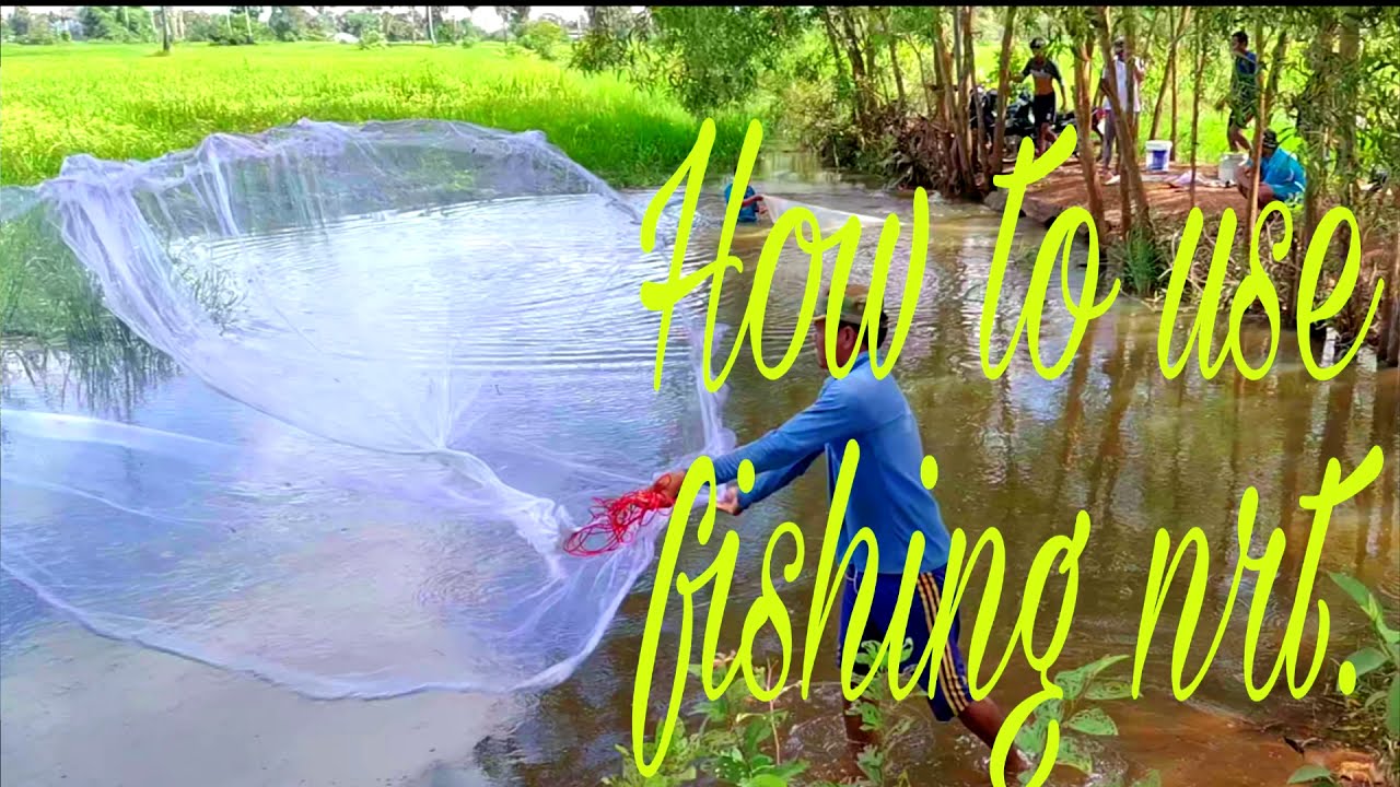 how to use fishing net 2020 / the new way how to fishing fish / fishing