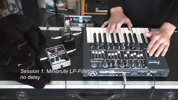 Arturia Minibrute with MXR Carbon Copy And EHX Memory Boy Analog Delays