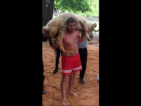 სოფელი ფშაველი -  2 მაისობა 2016წ