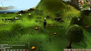 Runescape Full HD Test
