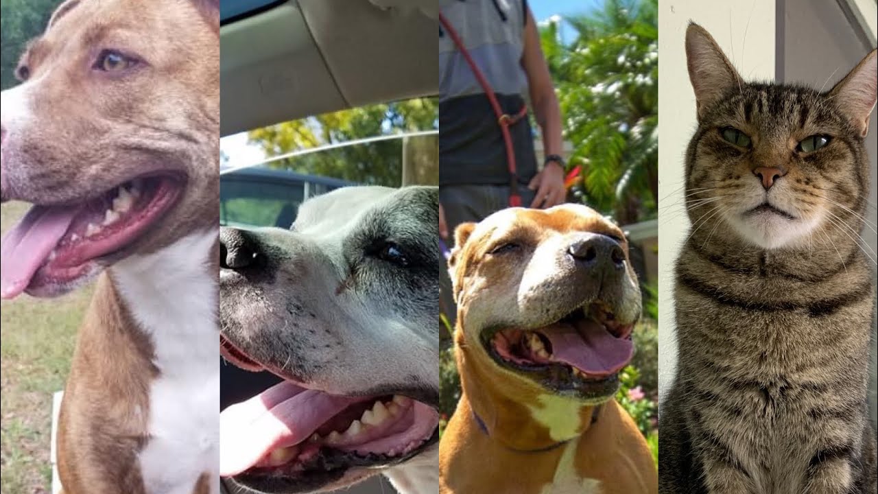 SLR Virtual Offsite 7