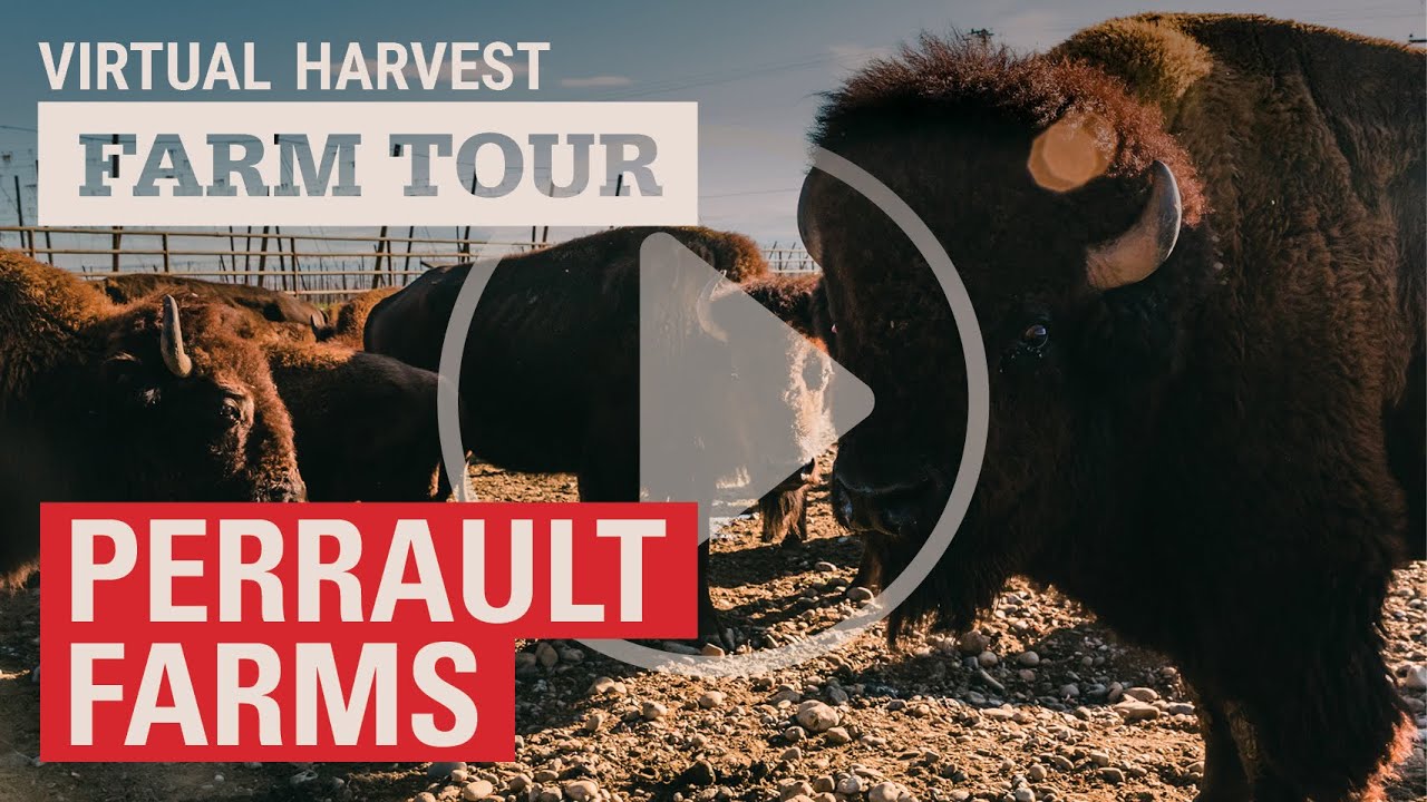 Farm Tour Perrault Farms YouTube