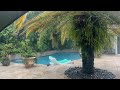 Stock Video Of Florida Rain