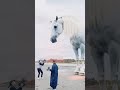 Shooting MV and this appeared🦄 #newmusic