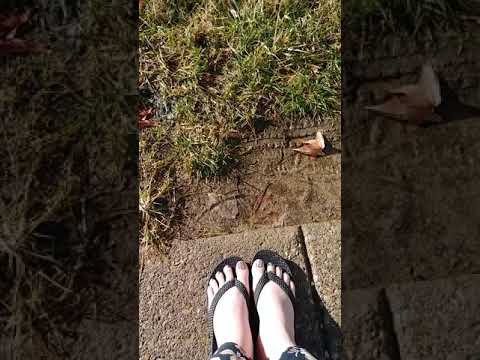 Muddy toes