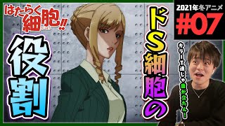 はたらく細胞 同時視聴