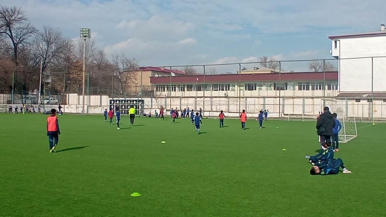 20 февраля 2026 г.