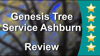 Genesis Tree Service Ashburn - 5 Star Review for Ashburn Tree Maintenance