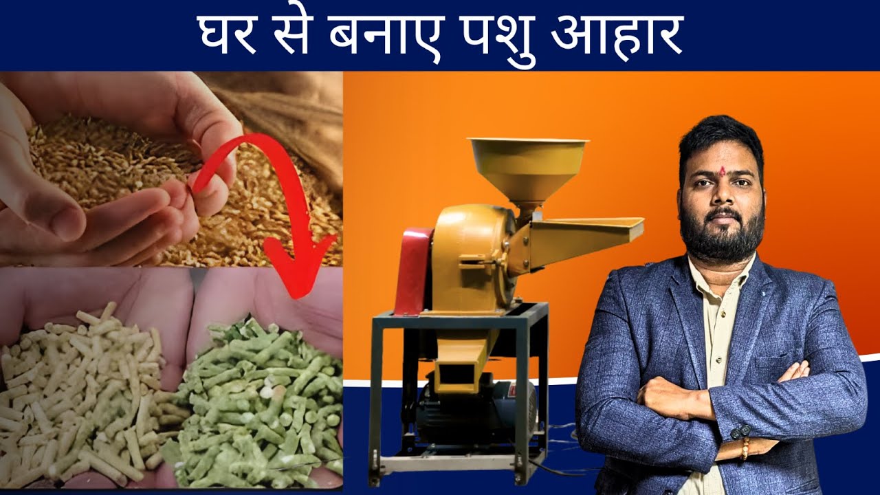 Animal Cattle Feed Grinder Machine | गाँव से शुरू करें पशु आहार बिज़नेस | Pashu Dana Machine