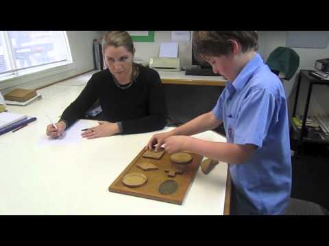 Visual Processing Assessment